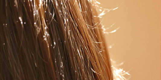 Healthy hair strands close-up