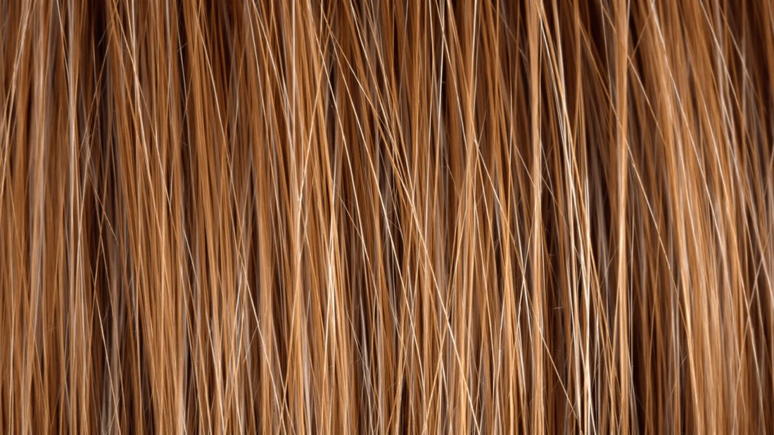Close-up of a healthy, vibrant hair strand.